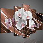 Людмила Смоляк