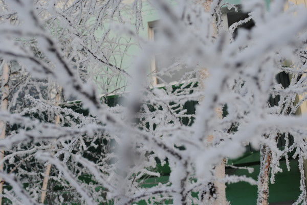 Наталья Лазарева