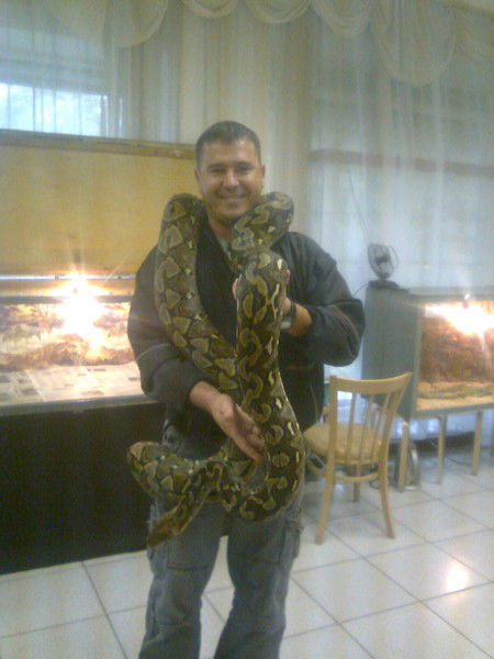 Александр Горожанин