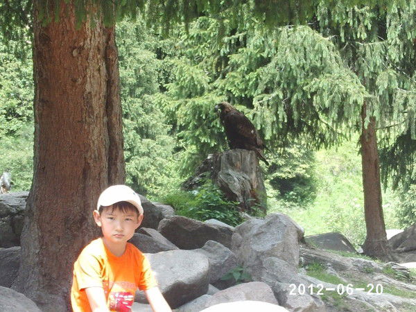 Жасар Жаксылык