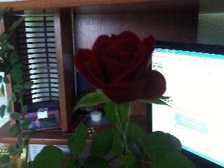 Равиль Шаяхметов