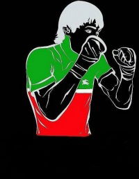 Наиль Шамсухаметов