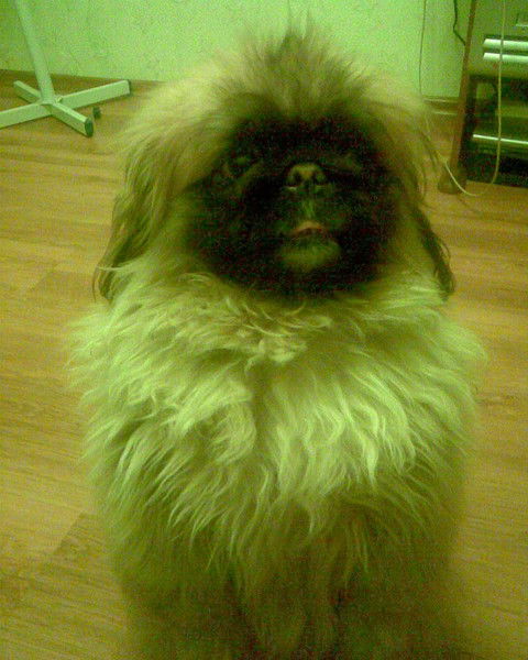 Алексей Москалев