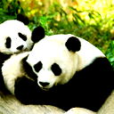 Виктор Розбицкий