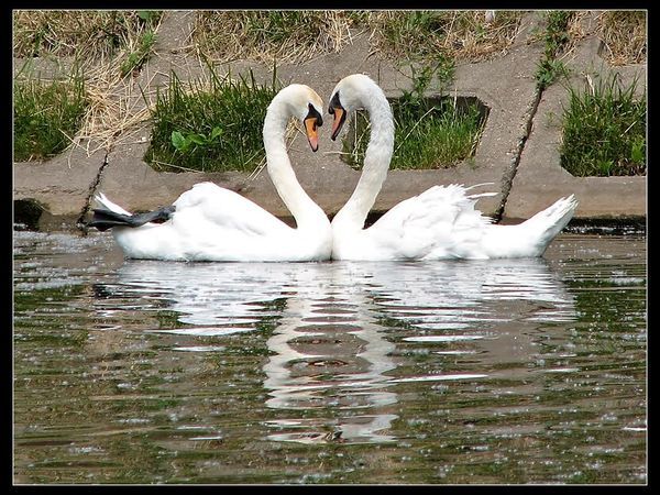 Марина Максимова