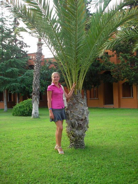 Екатерина Сергеева