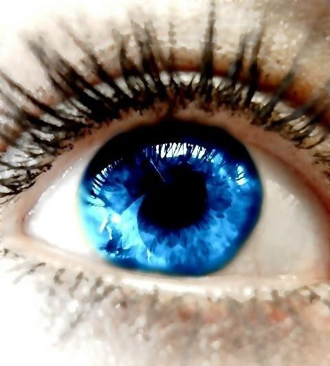 Кристина Скрибцова