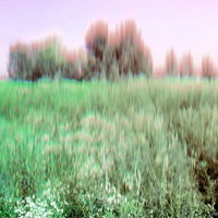 Матвей Агеев