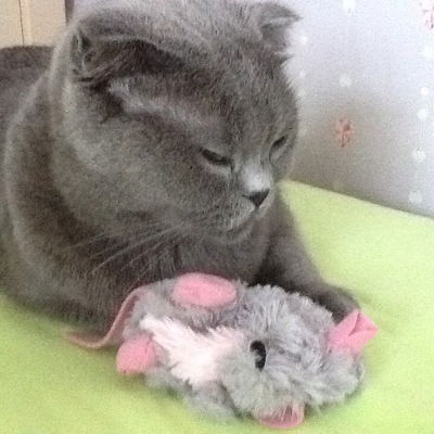 Анастасия Санникова