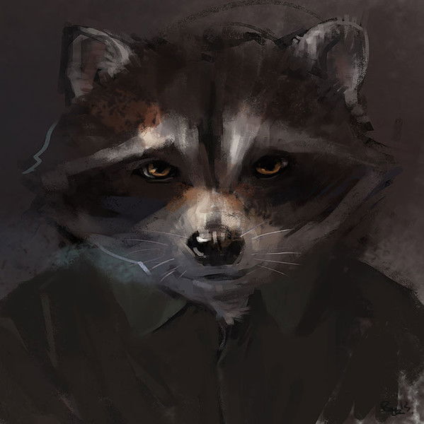 Енот Степашка