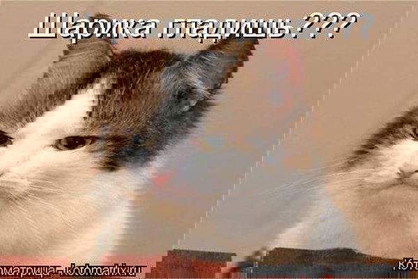 Кузькина Мать