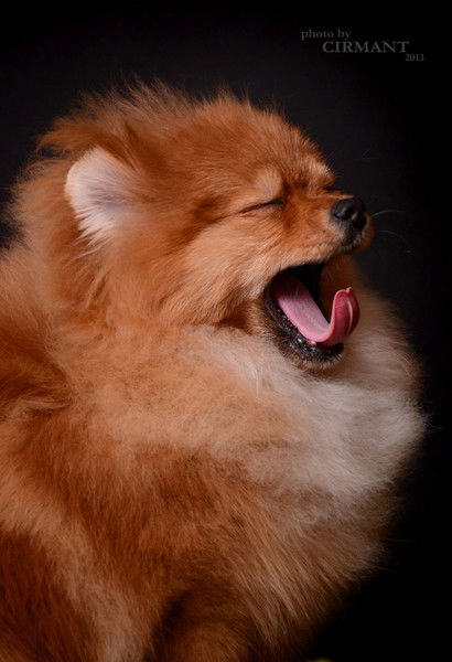 Юлия Pумянцeва