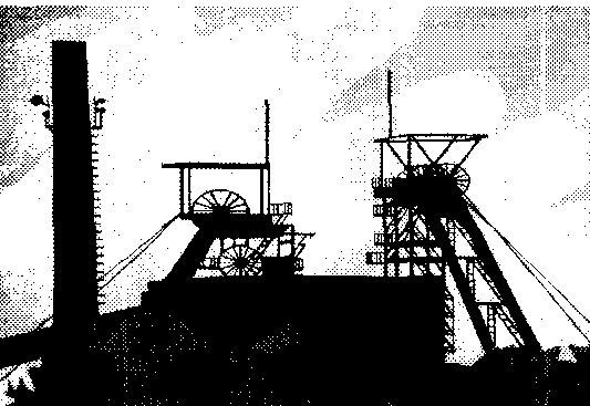 Марина Митичкина