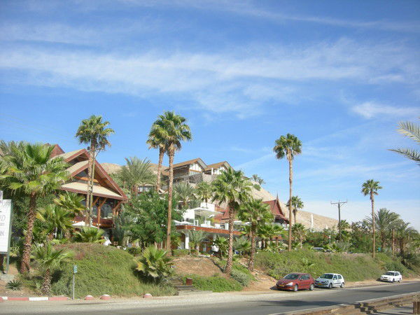 Людмила Шелякова