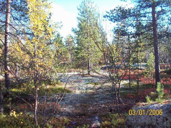 Татьяна Черкасова