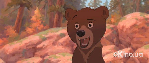 Ромашка Макаренко