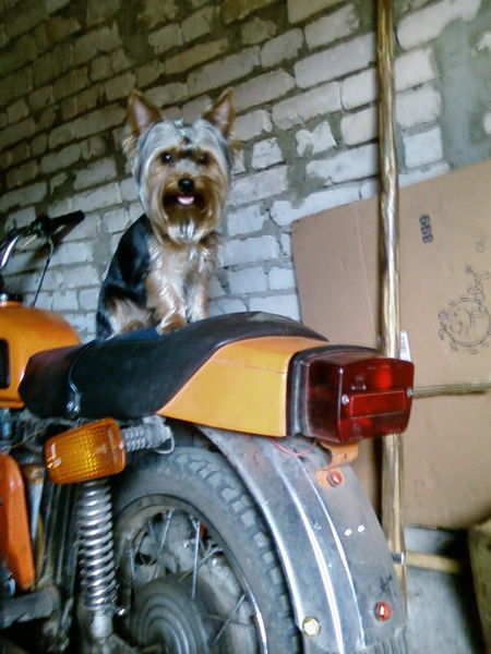 Маша Коратаева