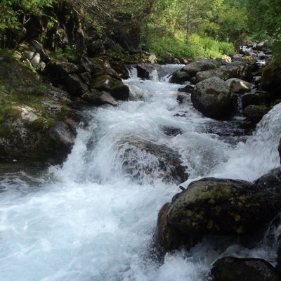 Иван Карлов