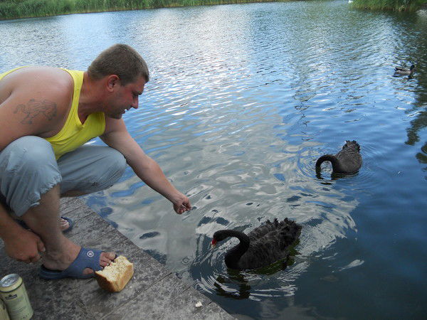 Максим Жерносек