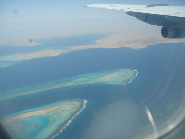 Игорь Левкин