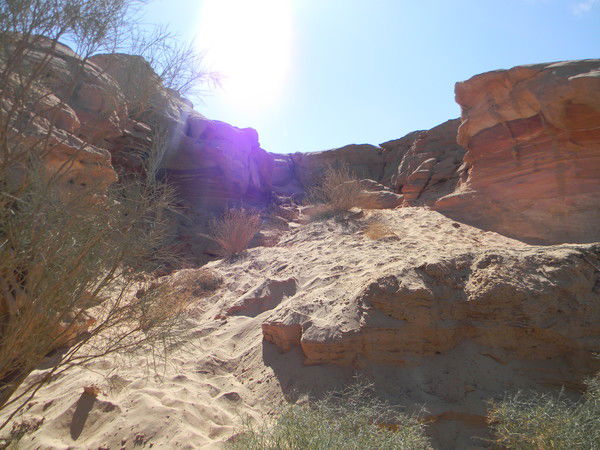 Алексей Алексей