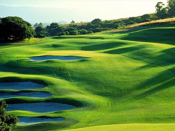 Толик Пухальський