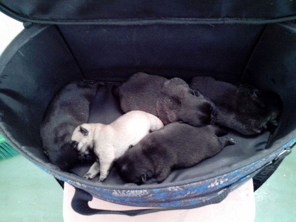 Оксана Фридман