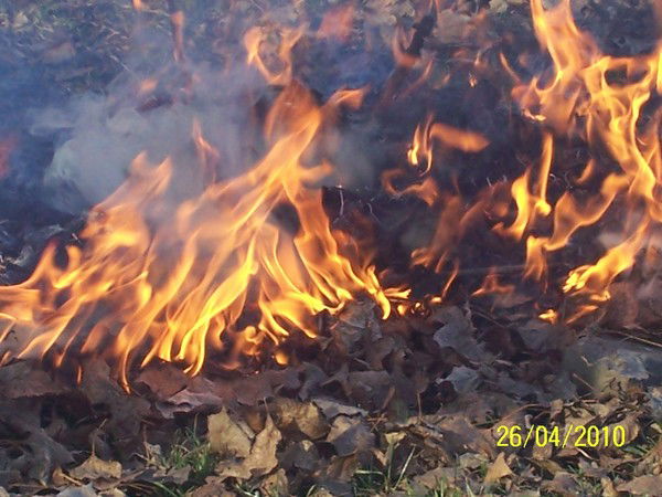 Татьяна Семенова