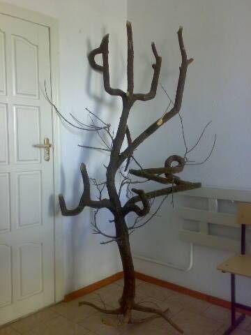 Абуахмад Ханафи