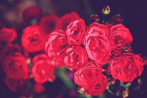 Айгерим М.а.