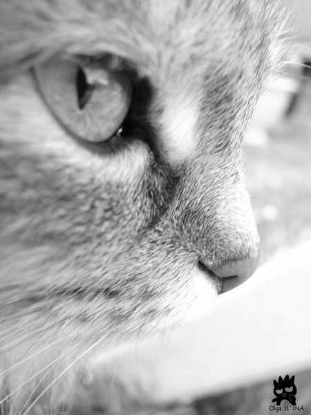 Наталия Ильина