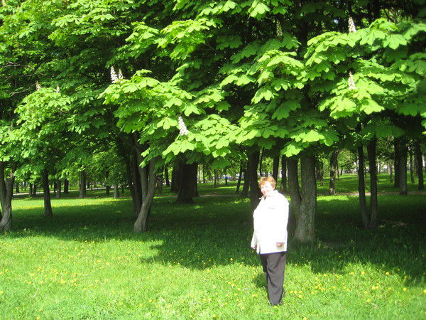 Мария Суркова