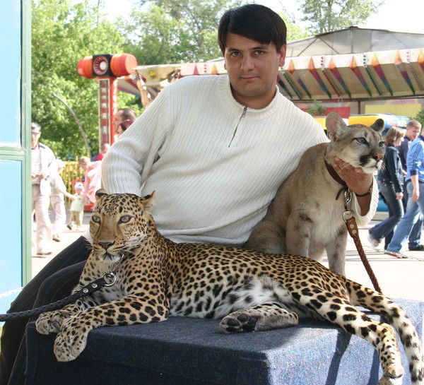 Александр Маркосов