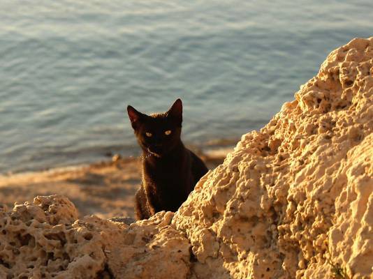 Лилия Деминова