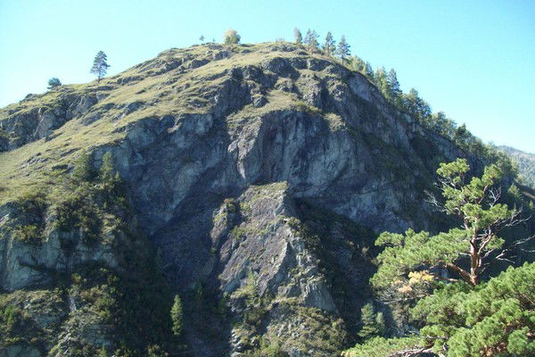 Любовь Ковальчук