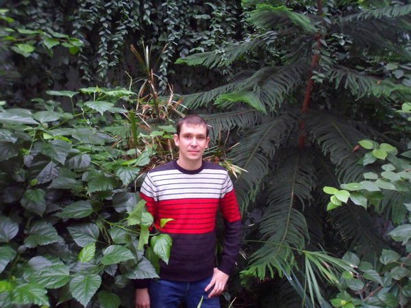 Сергей Прядко