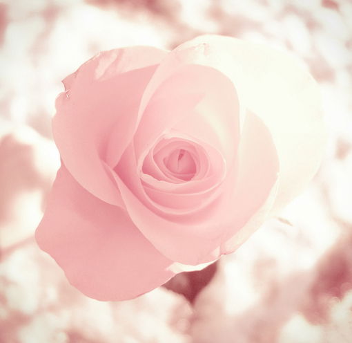 Людмила Логвинова