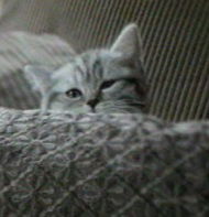 Александра