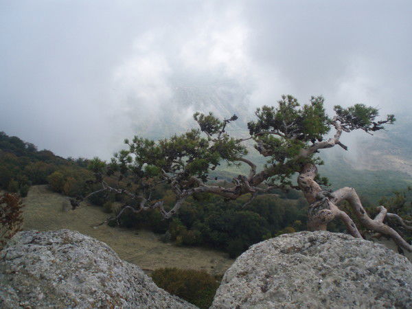 Надежда Емельянова