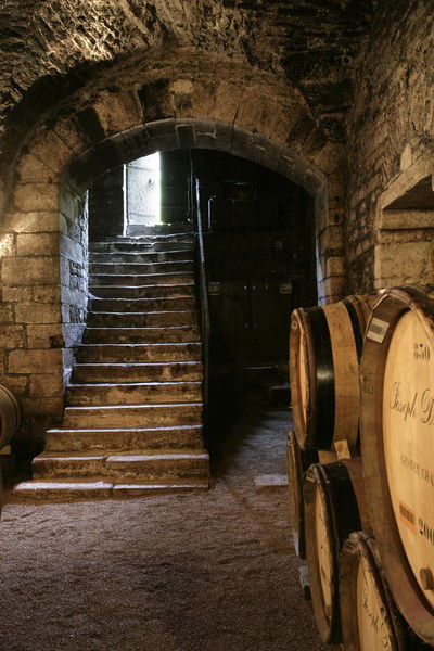 Дмитрий ----------