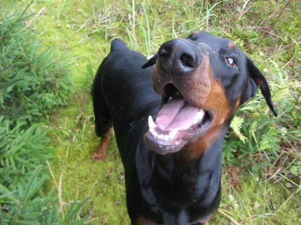 Татьяна Семенова