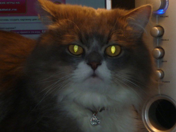 Палыч Добрый