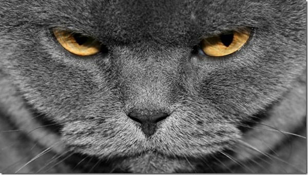 Стас Стасов