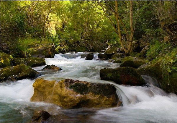 Нурбек В****в