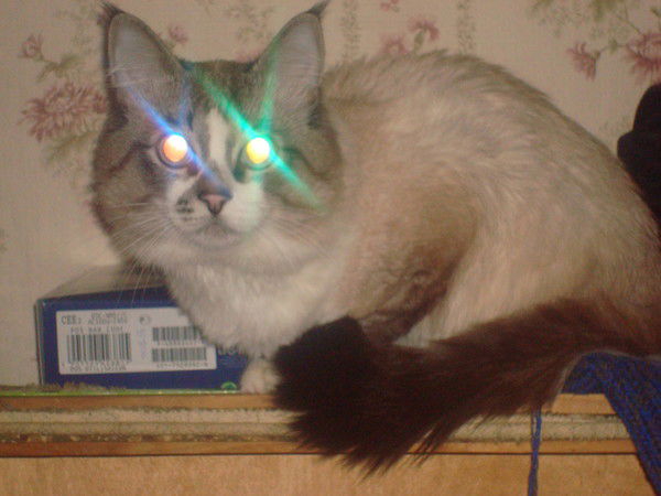 Альбина Маятникова(Мальми)