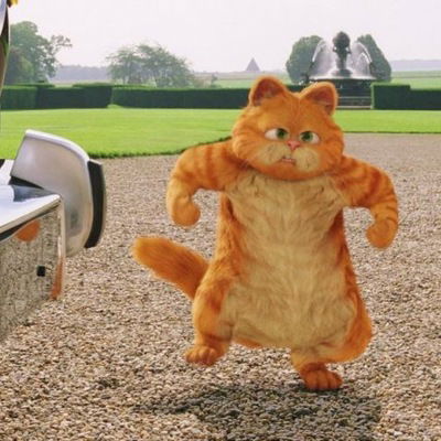 Александр Колесник