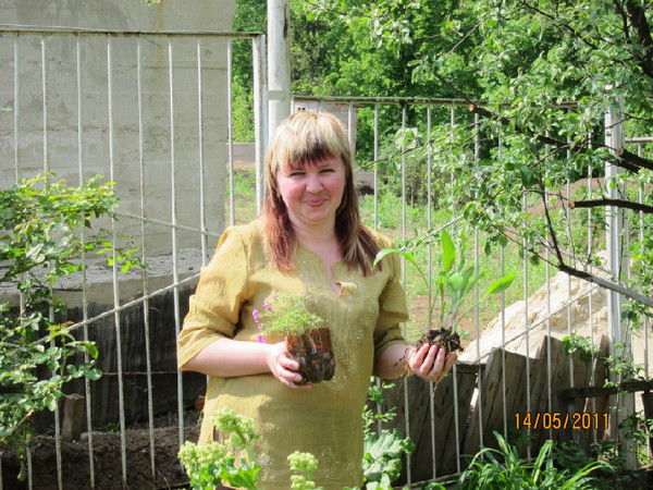 Елена Булавенко