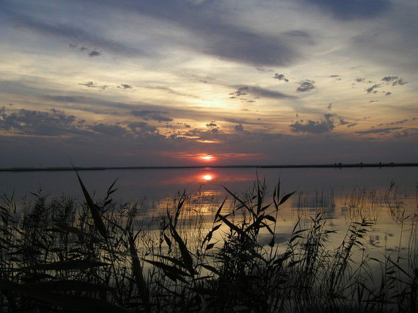 Дима Панченко