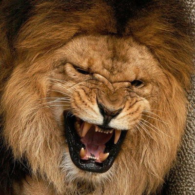 Ольга Пескова