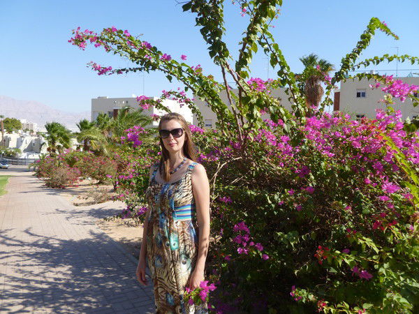 Елена Тимофеева